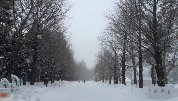 Persekitaran & Budaya Hokkaido (Musim Sejuk)