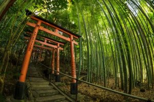 Persekitaran & Budaya Kansai (Musim Panas)