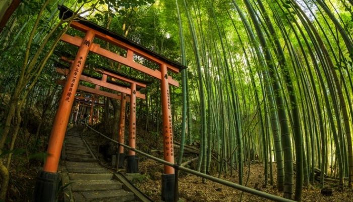 Persekitaran & Budaya Kansai (Musim Panas)