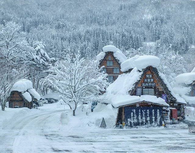 Musim Salji di Jepun (Disember – Februari)